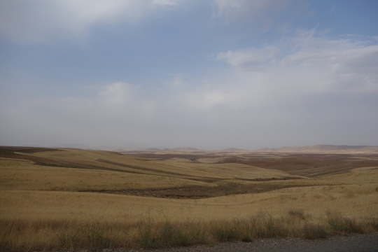 Barren lands