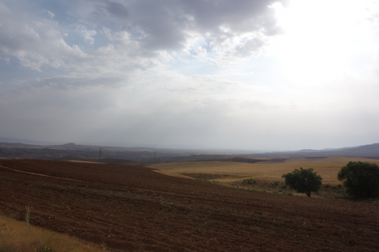 Barren lands