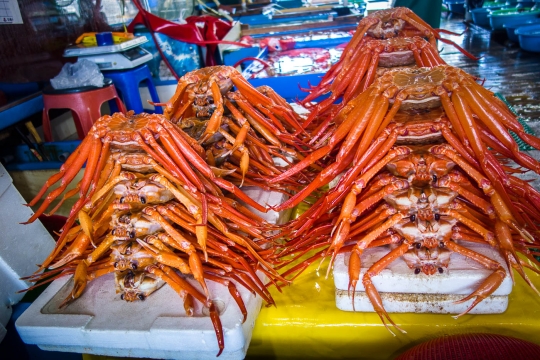Fish in Juminjin