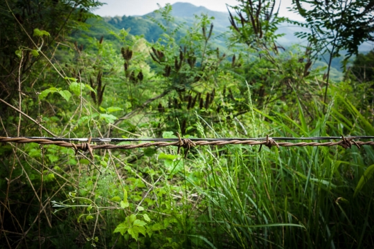 Land mines used as third defense line
