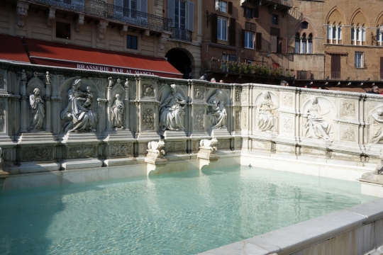 Fonte Gaia Il Campo