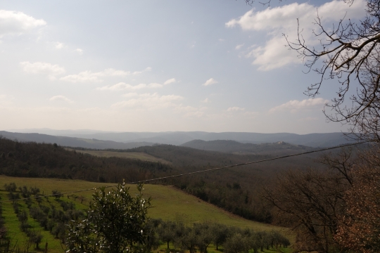 Tuscan view