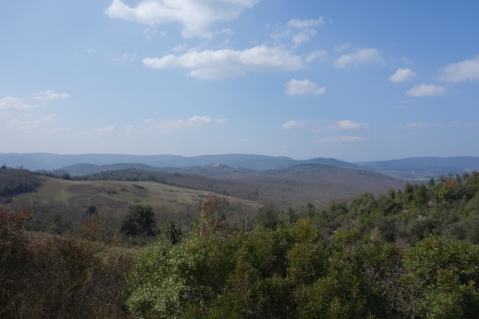 Tuscan view
