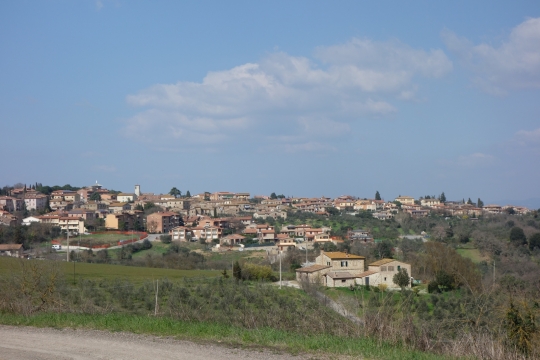 Tuscan view