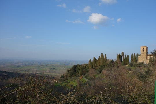 Tuscan view