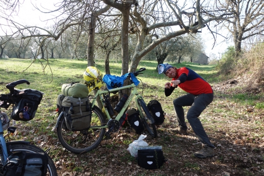 Camping at hazelnut orchard