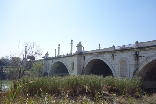 One of the bridges of Rome
