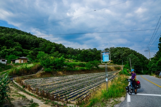 Korean mountain views