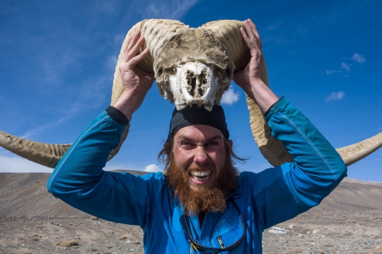 Martin and Marco Polo sheep