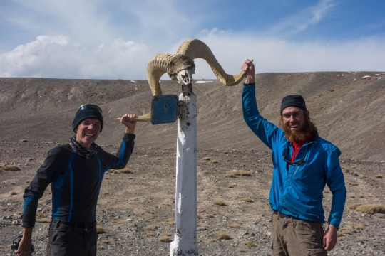 Martin, Bertrand and Marco Polo sheep