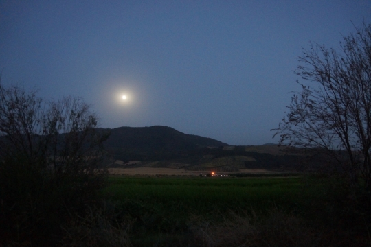 The moon