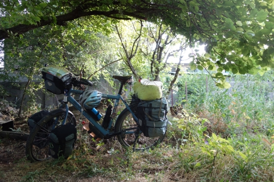 Camping in an orchard