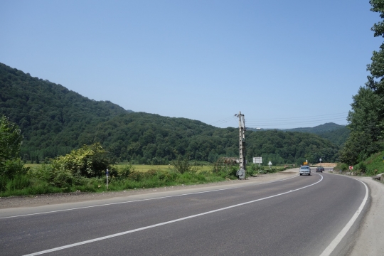 Lush green forrest on other side of mountain