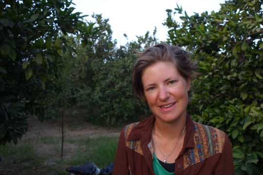 Susanne early morning