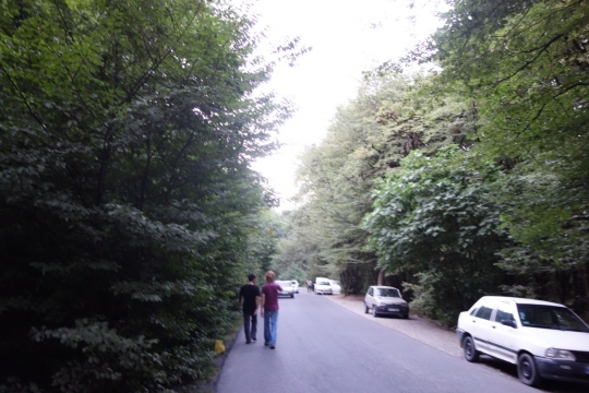 Visiting forrest in Gorgan