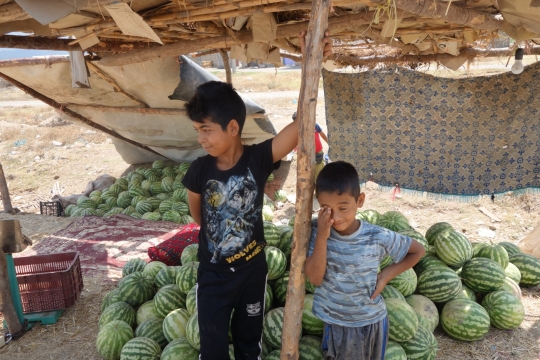 Two cute boys selling watermelon