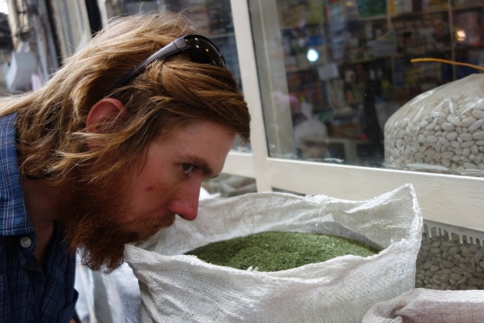Nice herbs