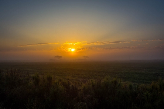 Sunrise