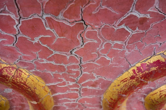 The forbidden city - detail