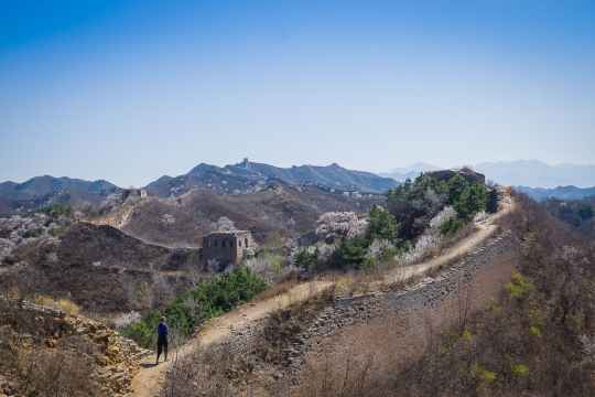 The Great Wall