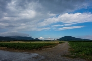 Hills of Austria