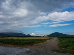 Hills of Austria