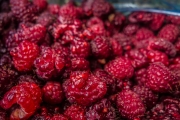 Our precious gift! Raspberries