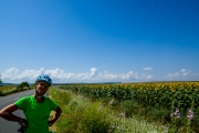 Sunflowers!!