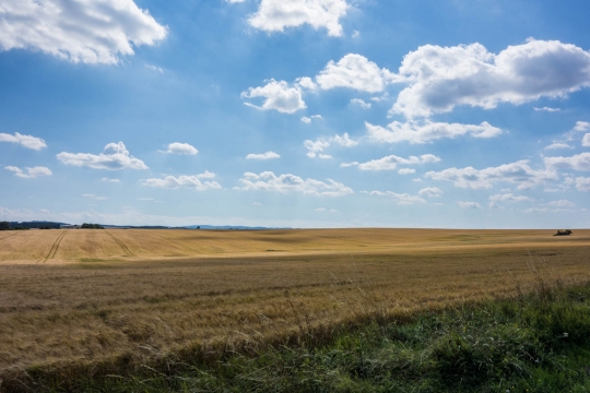 Huge fields