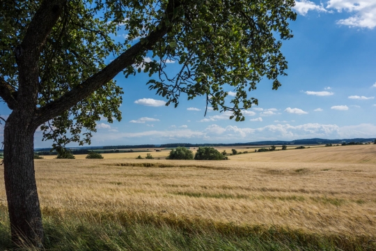 Huge fields