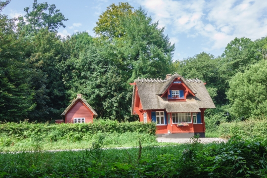 Cute house