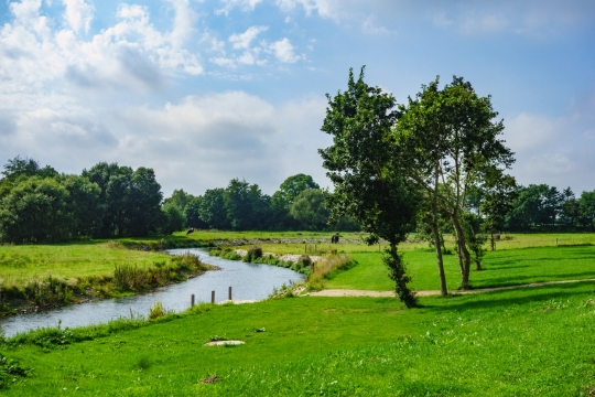Danish scenery