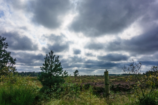 Danish scenery