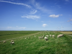 Following dikes along the coast