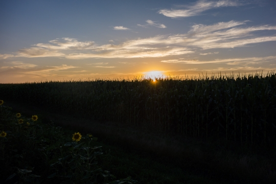 Beautiful sunset