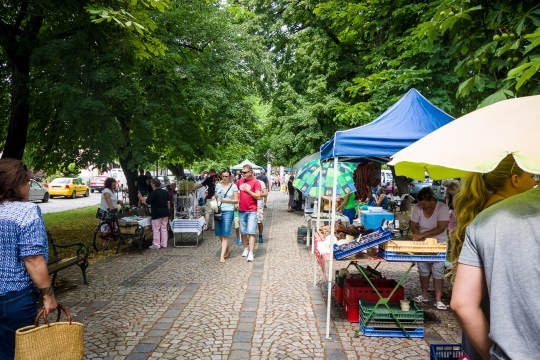 Small market where we bought the best honey