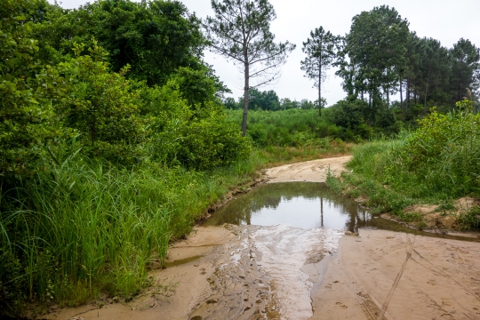 Small roads and surprises