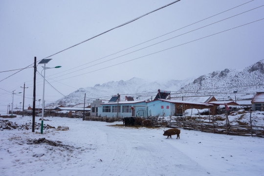 Snow and our rural place to sleep