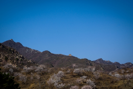 A watchtower