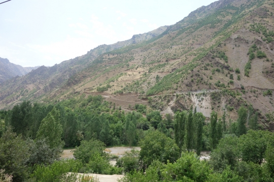 Lush greenness and steep road