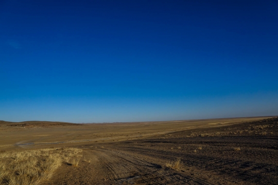 Desert roads Mongolia