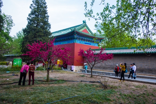 At the gardens of the temple of heaven