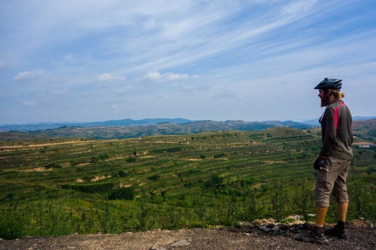 The view