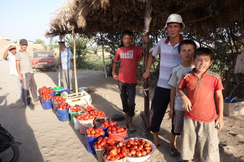 Tomatoes!