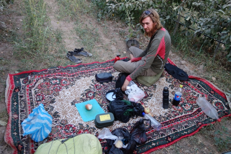 Camping in an orchard, nice and homey
