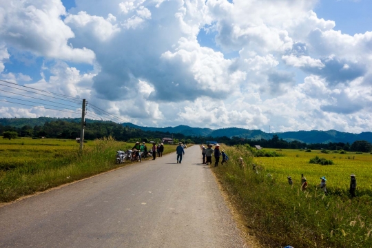 People from the rice fields