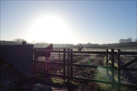 Staying with Max and Renske in Biezenmortel