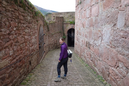 Castle Heidelberg