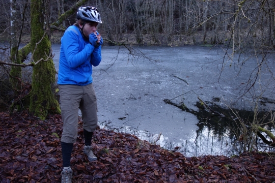 Schonbucher Wald with ice