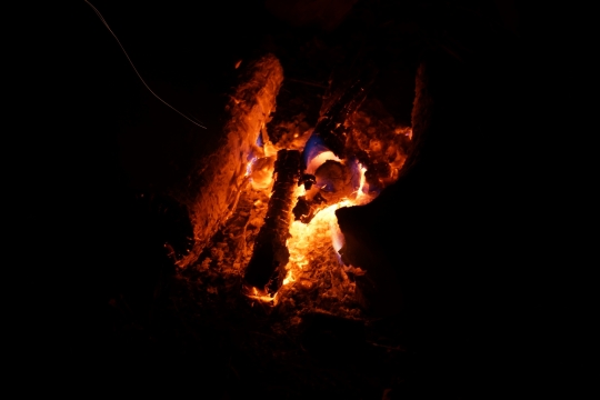 Camping in orchard Bad Salzig with our own fire